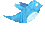 Twitter logo twitter
